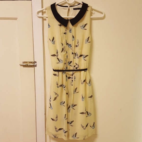 zara bird dress